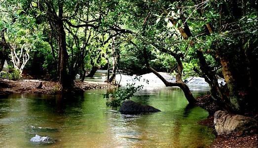 Anizham Jungle Star Hotel Thirunelly ภายนอก รูปภาพ